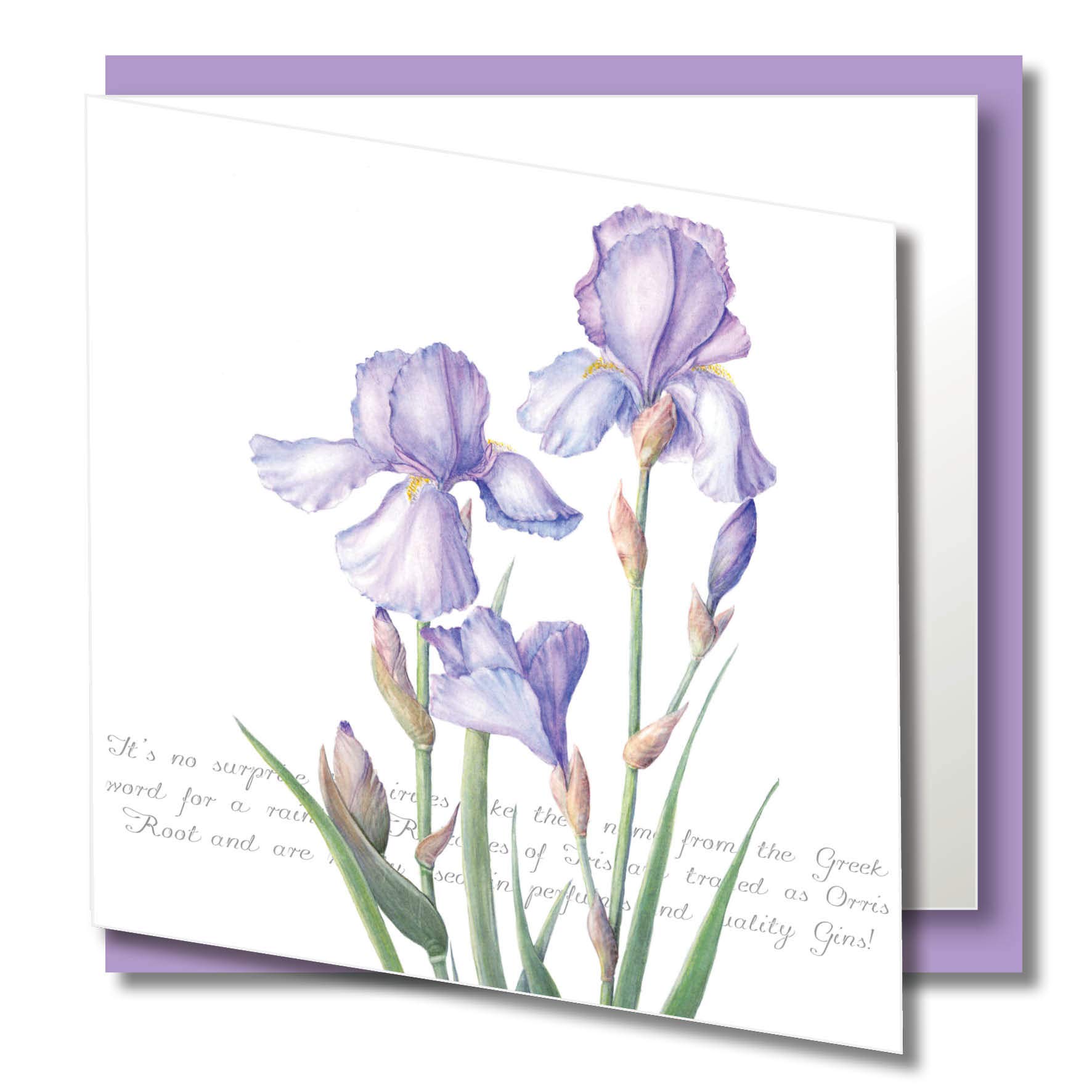 Iris Iris