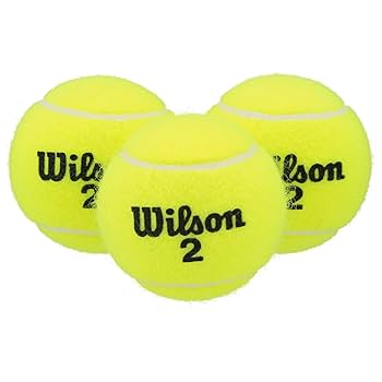 Amazon.com : Wilson Championship Extra Duty Tennis Balls - 3