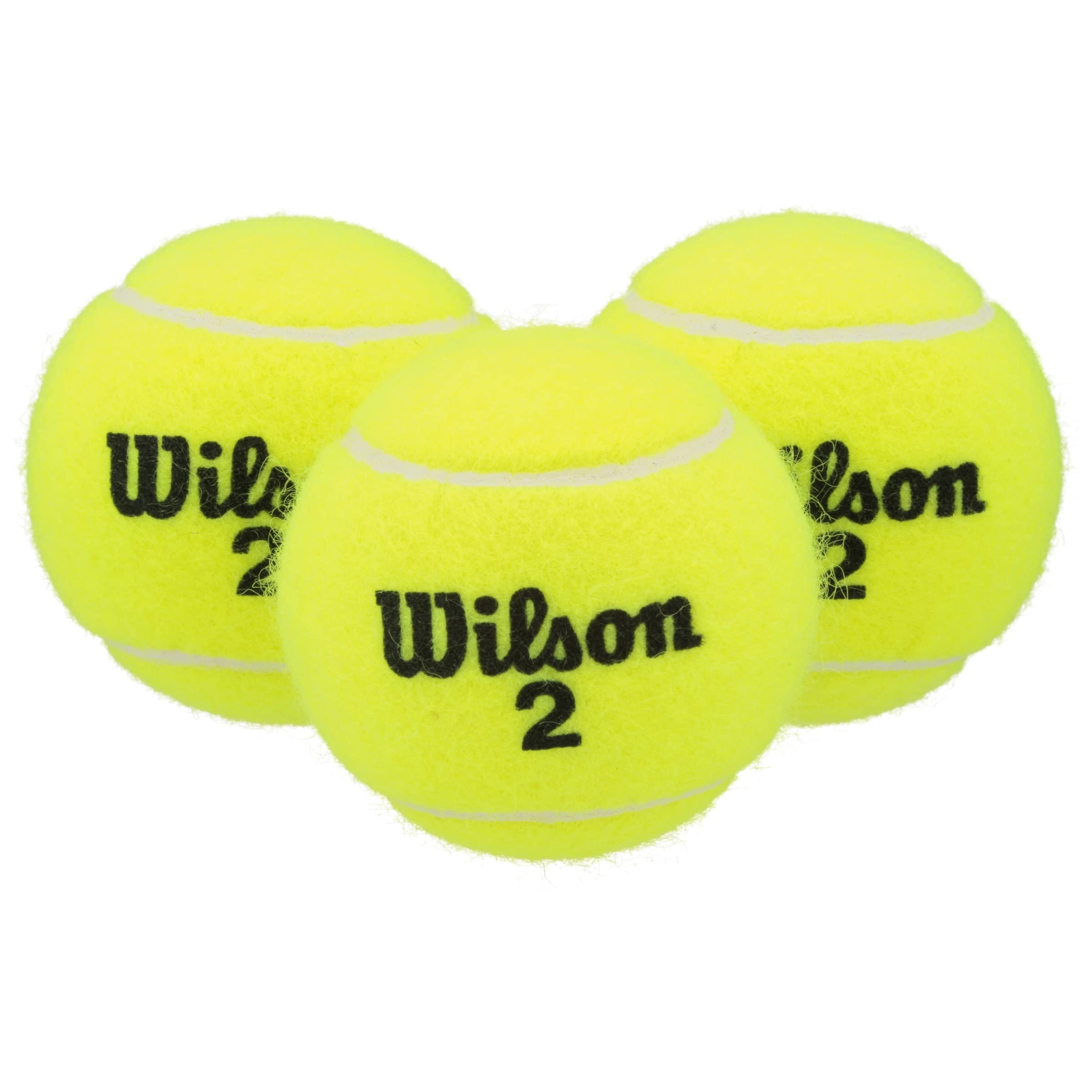 Amazon | Wilson チャンピオンシップ レギュラーデューティ