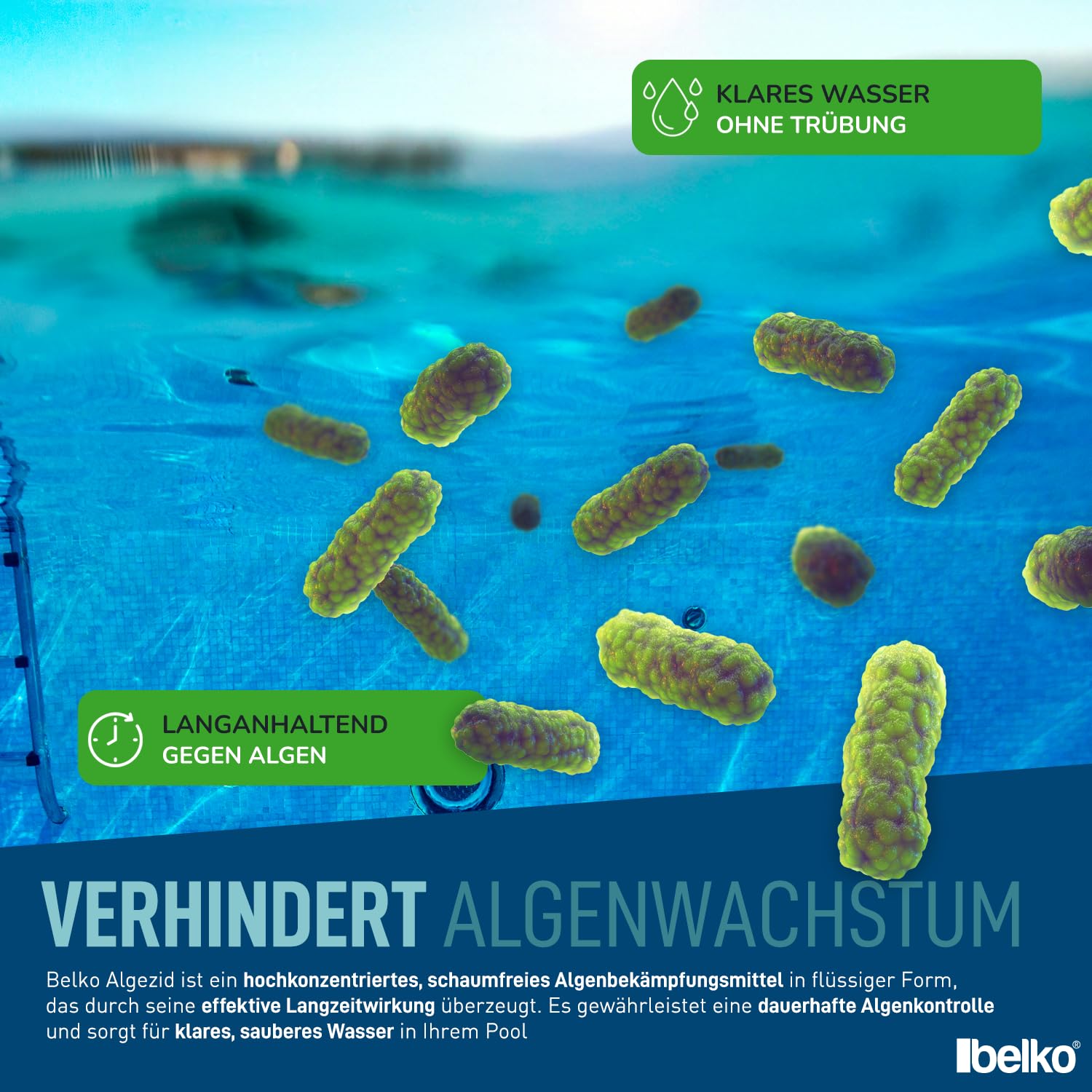 Belko® 20L Pool Algizid Algenverhütung flüssig - Präventives Anti Algenmittel für Schwimmbad & Pool und Whirlpool - gegen Algen, Algezid Poolklar Chlor Ergänzung