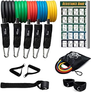 12 Pc Resistance Bands Set - 5 Workout Bands, Cushioned Ankle Straps, Padded Handles, Door Anchor & Waterproof Gym Bag - Home Exercise, Strength Training, Physical Therapy, Yoga Fitness Gear