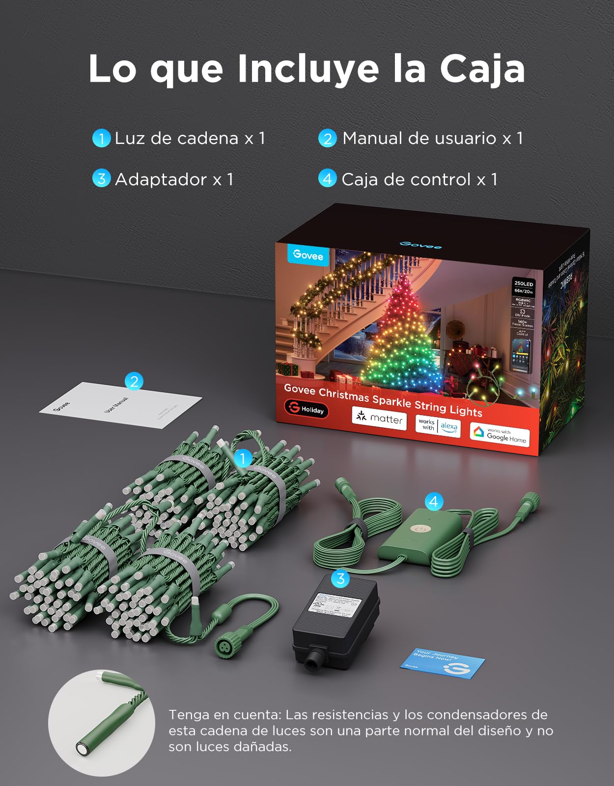 Govee Christmas Sparkle String Lights 20M, Control por Aplicación con Alexa | Decoraciones Navideñas para Interiores, Luces RGBWIC de con 250 LEDs, Más de 140 Modos de Escena