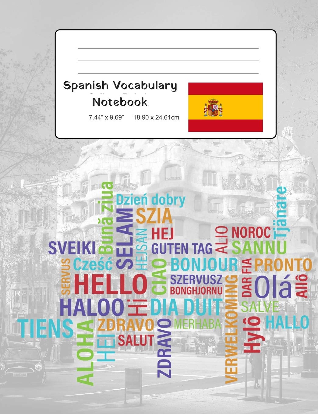 Spanish Vocabulary Notebook: Split page layout for easy and consistent notation and revision of Spanish language vocabulary items (Foreign Language Study Vocabulary Notebooks)