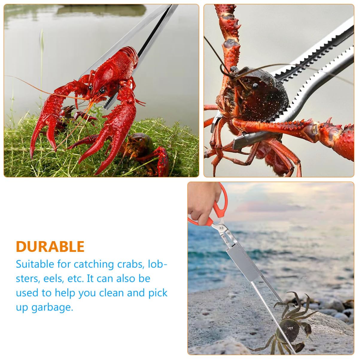 HANABASS Pinza per Granchi Multifunzione in Acciaio Inox Resistente Morsetto Antiscivolo, Tenaglia per Aragosta e Anguille, Strumento Leggero per Pesca e Raccolta in Esterno