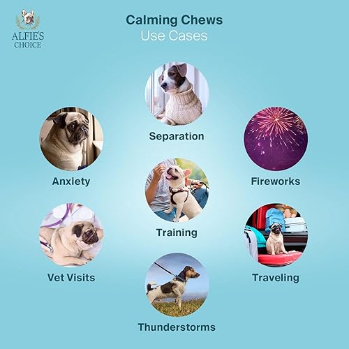 Miniatura 2 de ALFIE'S CHOICE Masticables calmantes para perros  Alivio de la ansiedad para perros y apoyo de separación  Masticables calmantes de cáñamo para