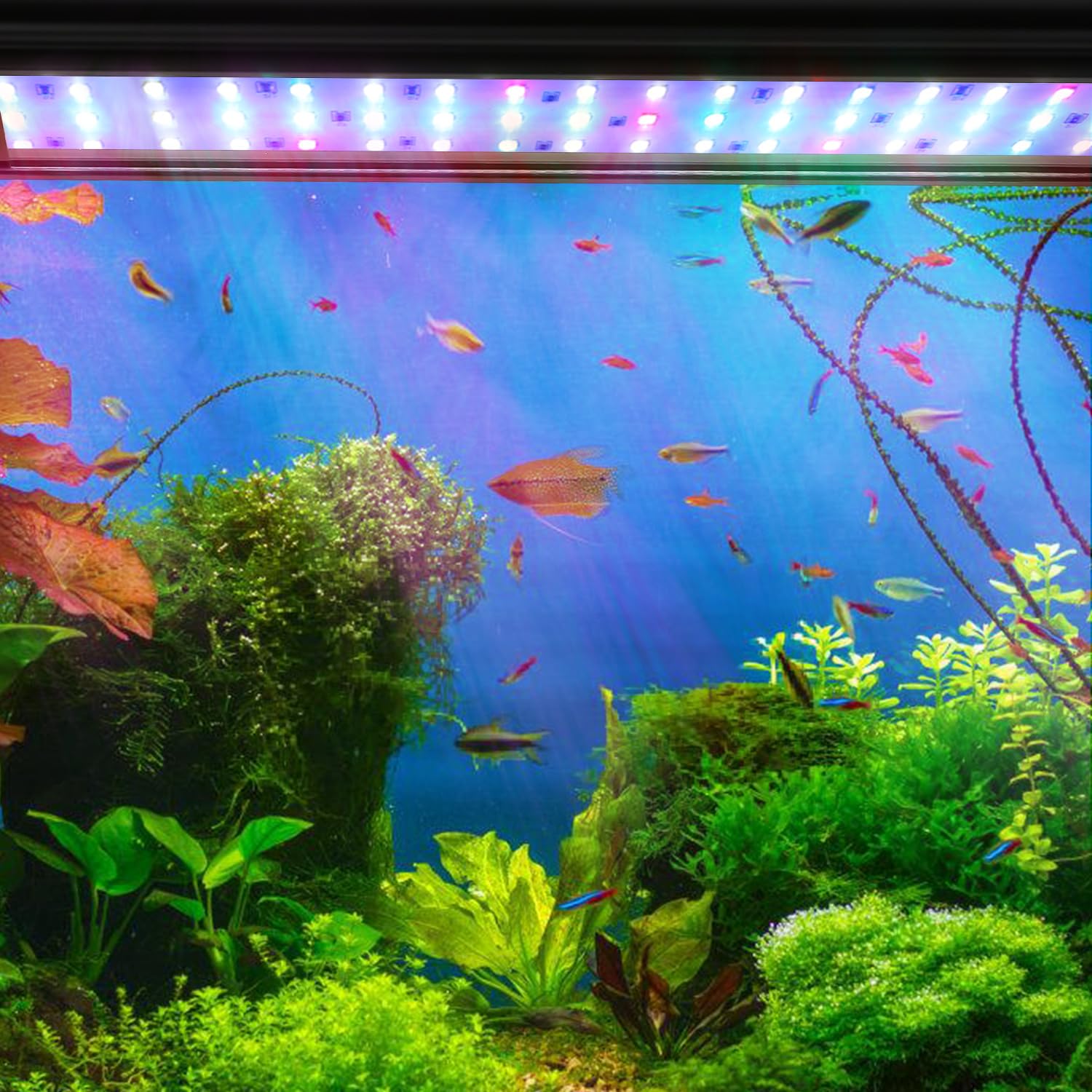 Iluminación LED para acuario, iluminación de 36 W, barra de luz para acuarios con temporizador automático, lámpara RGB Spectrum para acuarios de agua de 87 – 110 cm