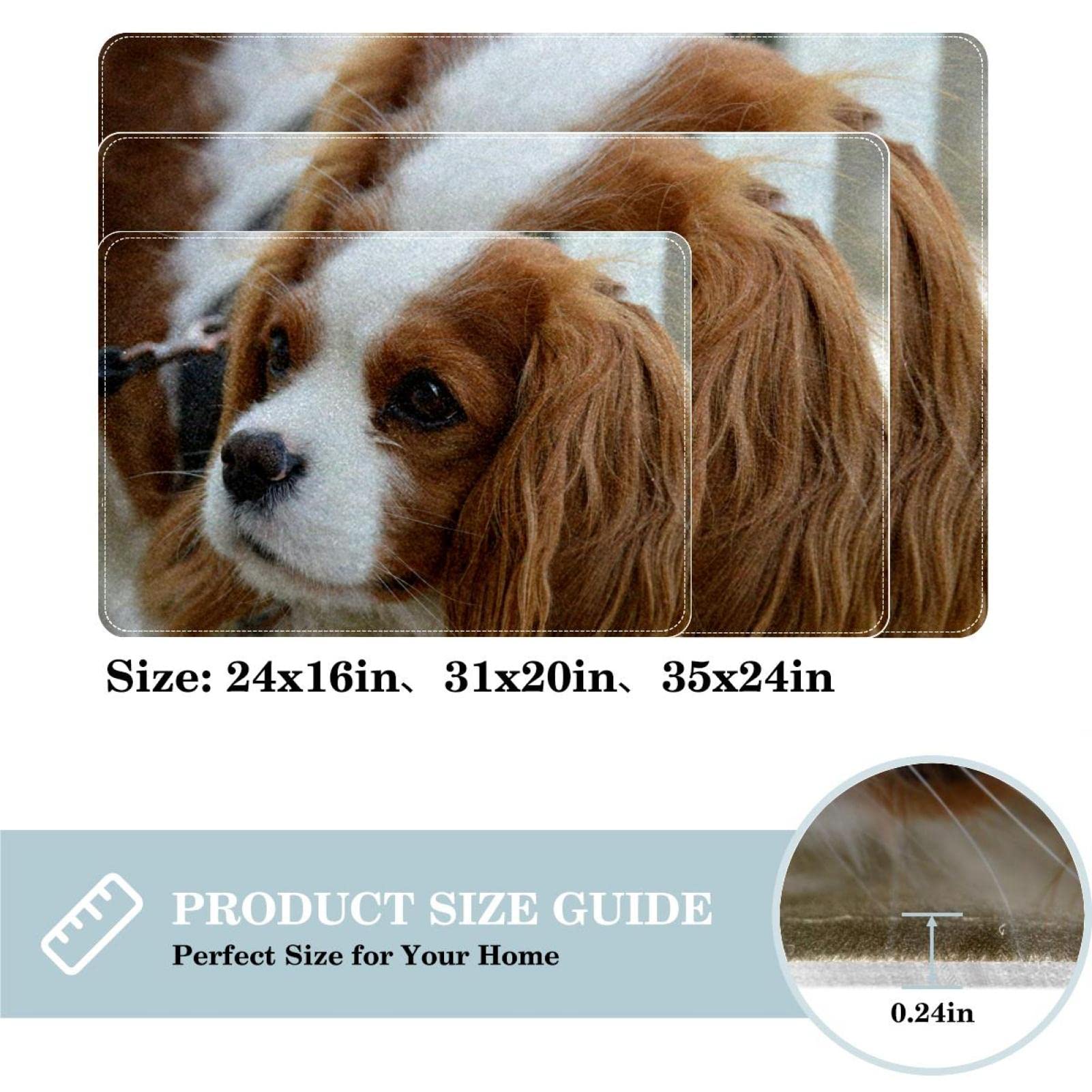 Amazon | キャバリア キング チャールズ スパニエル犬 エリアラグ