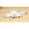 Product Photo 7