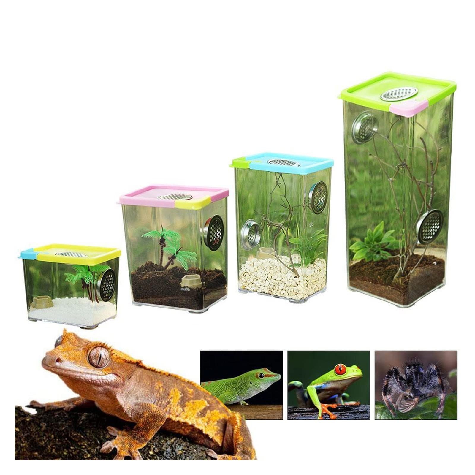 Reptilien-Terrarium, Transparente Acryl-Reptilien-Futter-Terrariumbox for Schildkröten-Eidechsen-Spinne