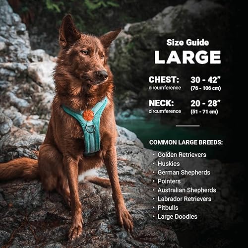 Vista 3 de Wilderdog Arnés ligero para perro con correas reflectantes - Grande - Azul Pacífico Negro