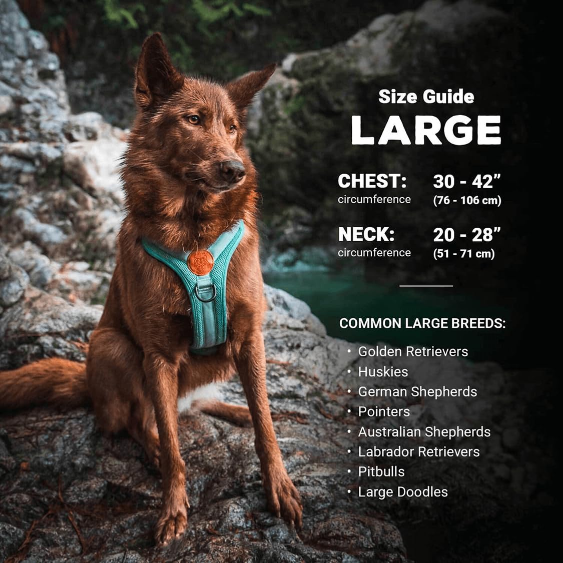 Wilderdog, Pettorina leggera per cani con cinghie riflettenti, L, blu pacifico