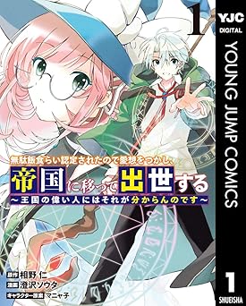 無駄飯食らい認定されたので愛想をつかし、帝国に移って出世する ～王国の偉い人にはそれが分からんのです～