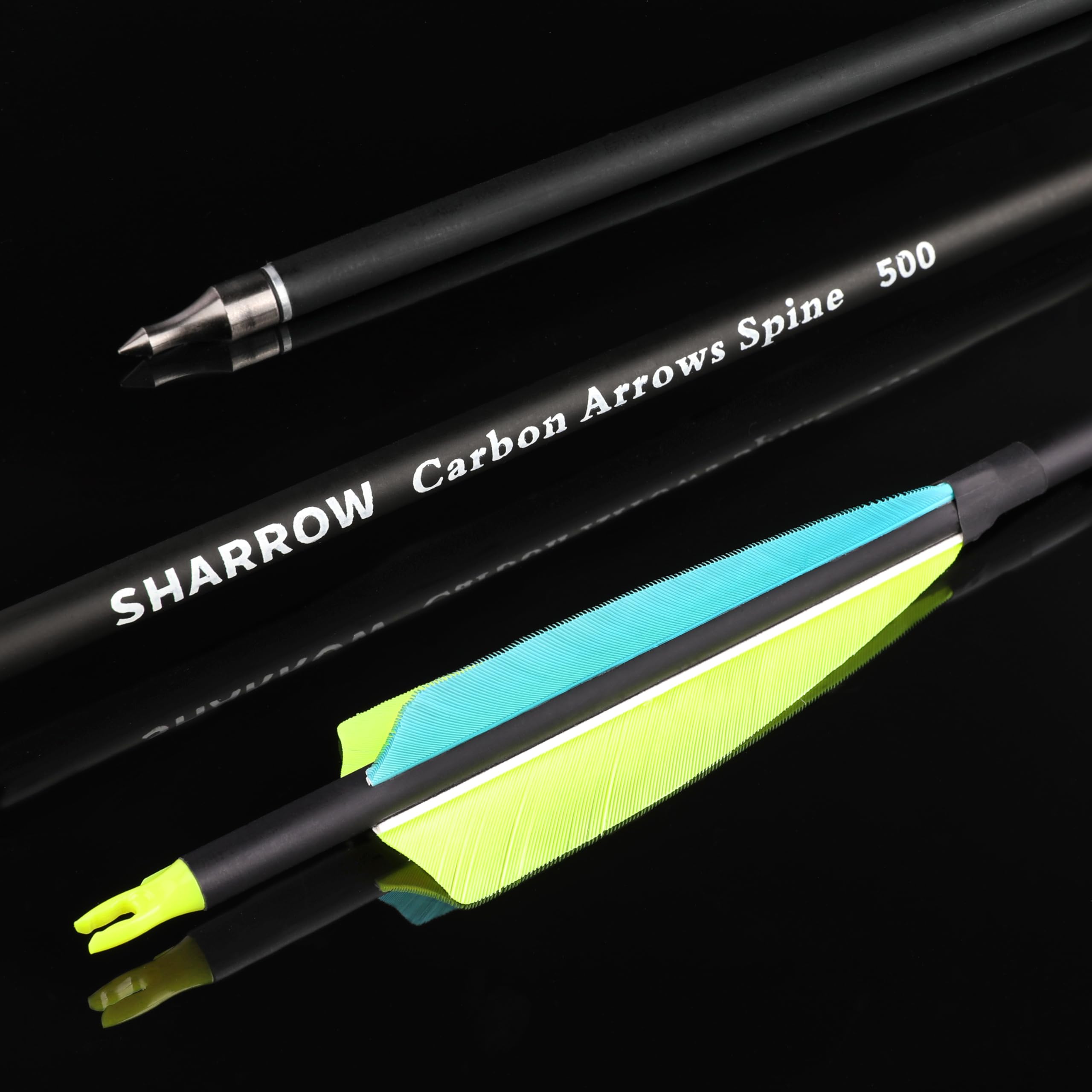 View 5