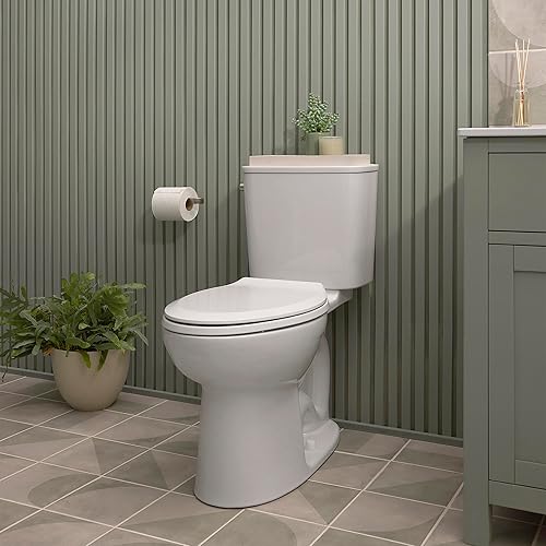 Miniatura 3 de American Standard 7061230.295 Aspirations - Soporte para papel higiénico, níquel cepillado