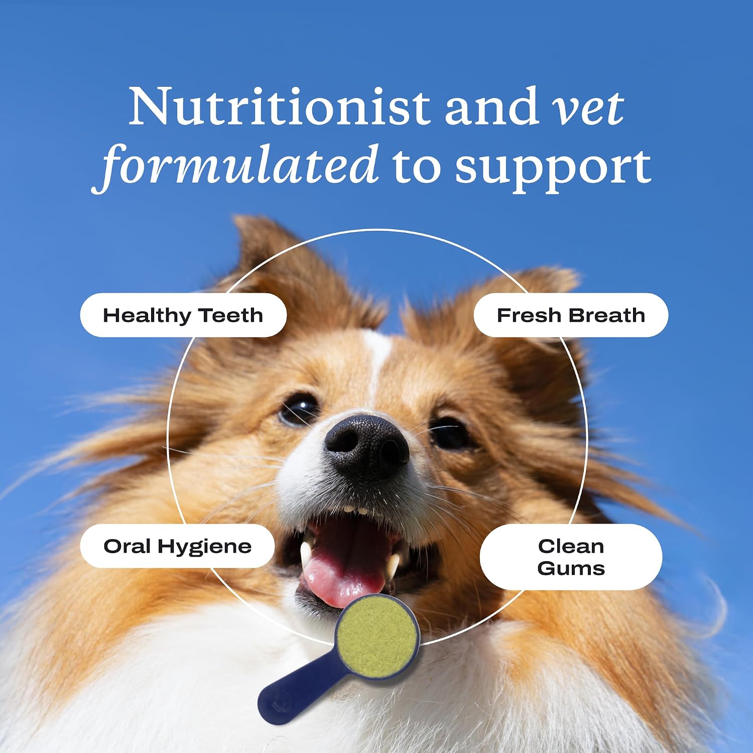 PetLab Co. - Tooth & Gum Support Bundle for Large Dogs: Dental Wipes for Everyday Dental Health Support & Dental Powder for an Effortless Clean in 1 Scoop – Easy to use – Premium Quality Ingredients image 5