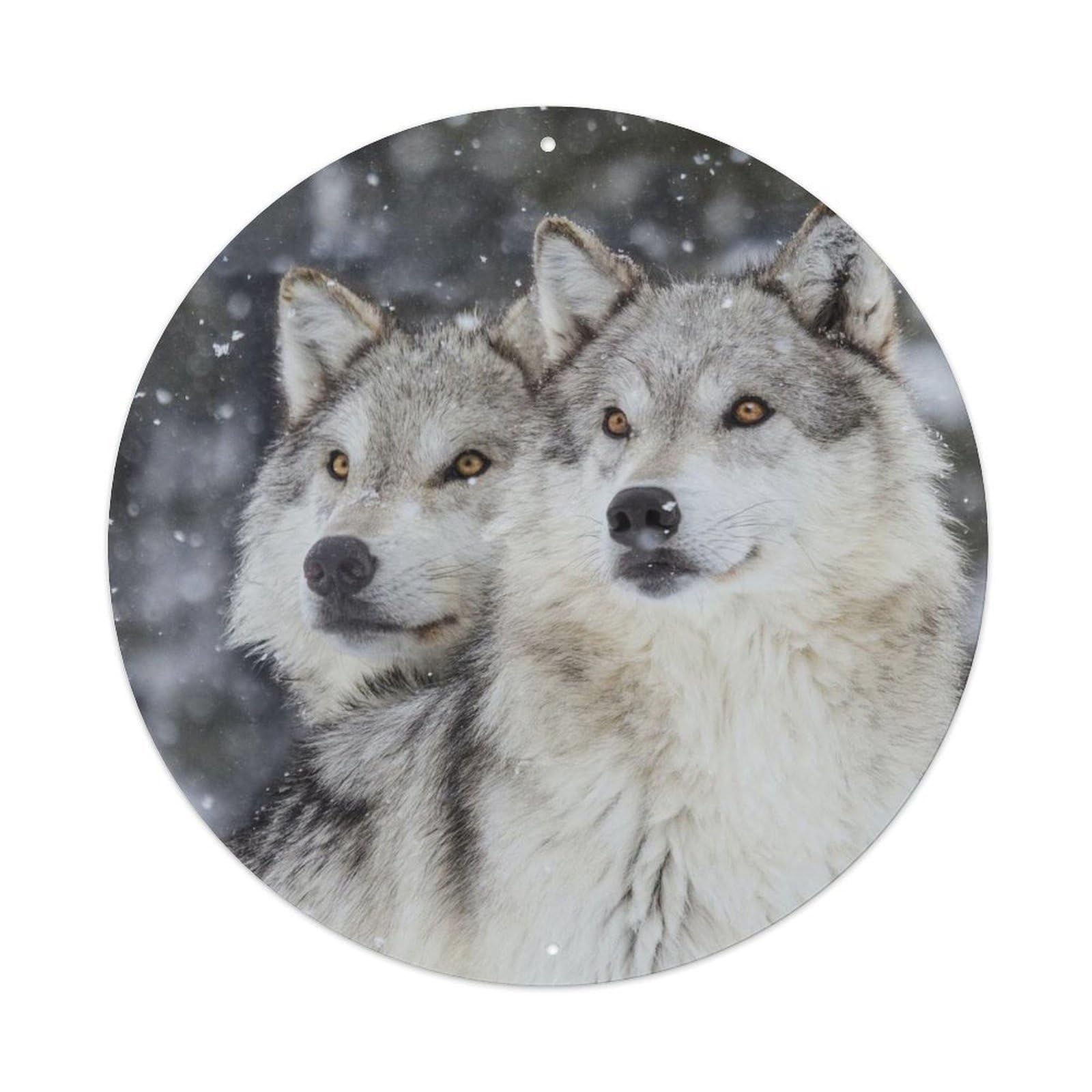Grey Wolf Pack Snowy Forest Wildlife Poster Metal Tin Sign