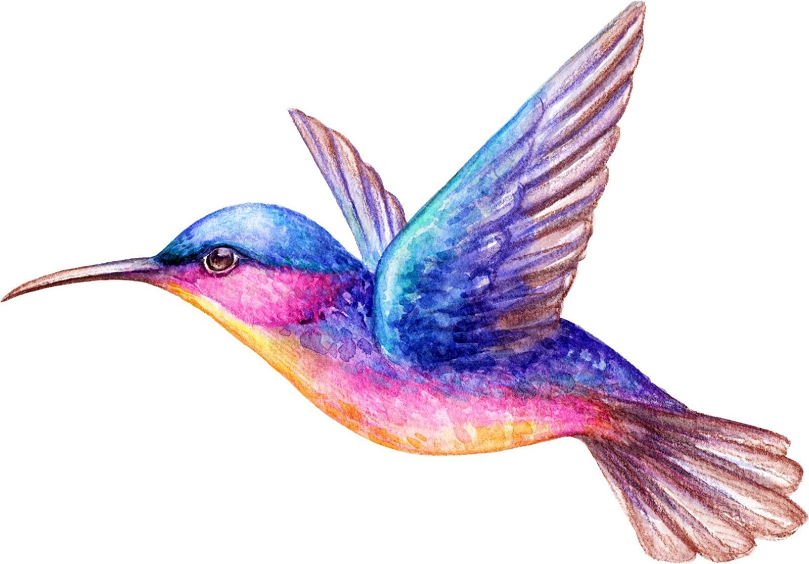 Beautiful Vibrant Colored Hummingbird Art #6 Truck Car Bumper Sticker Vinyl Decal 5"