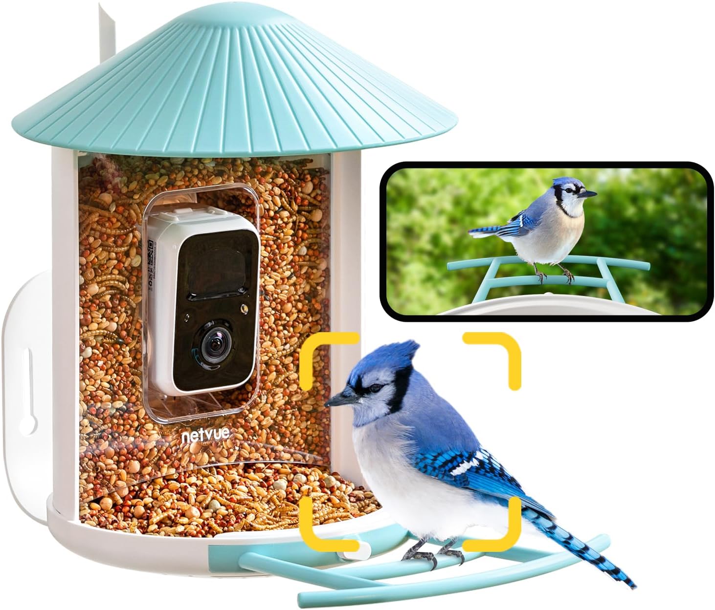 Amazon.com : HIXX Bird Feeder Camera Solar Powered, Auto Capture Bird ...