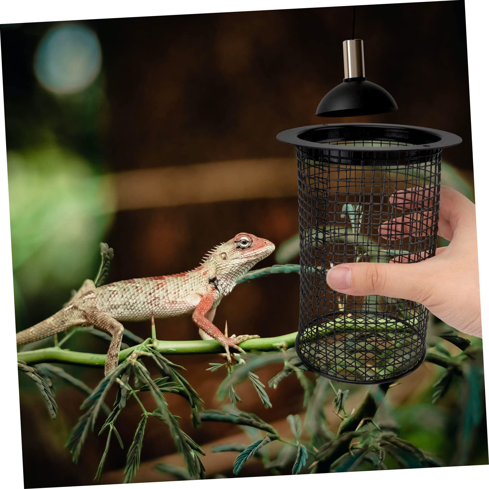 HOMSFOU 2stücke Lampenaufsatz Für Wärmelampe Rund Anti-verbrühung Für Reptilienhabitat Geeignet Für Keramische Heizlampen Tages Und Nachtlampen Schutz Für Eidechsen Schlangen Mehr