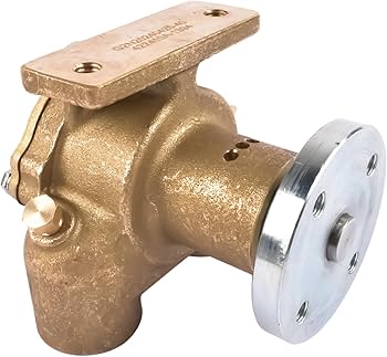Amazon.com: Flynsu Raw Sea Water Pump 97179 Replacement for