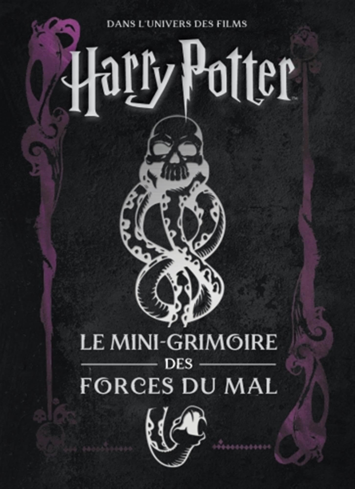 Les mini-grimoires Harry Potter T8: Les forces du mal