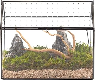 12 Cactus Planter Ideas for Low Maintenance Outdoor Style 48 NCYP House Shape Glass Terrarium with Acrylic Lid - 10.2x5.9x8.2 Inches ...