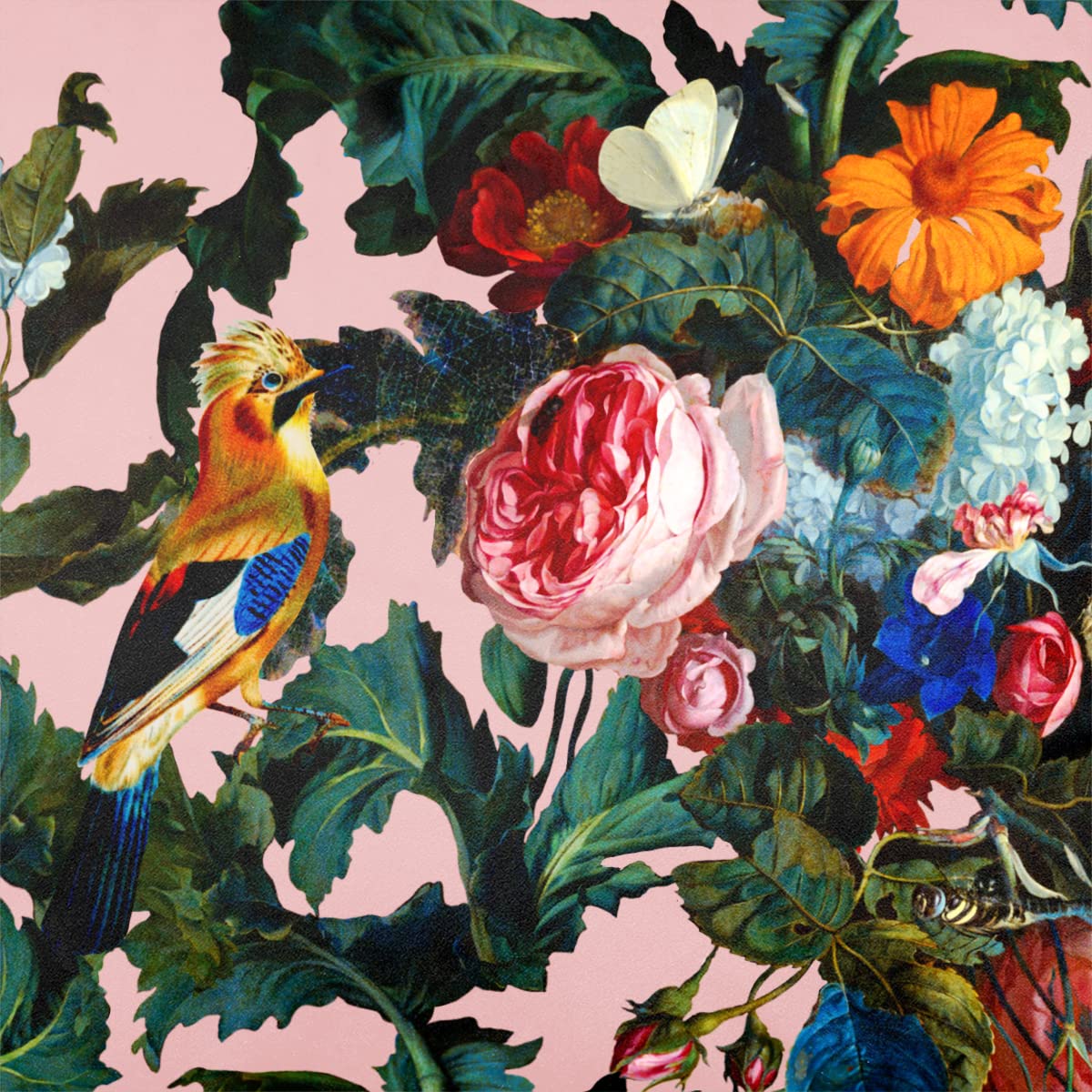 Izabela Peters Rosewater Luxury Upholstery Curtain Fabric - Eco-Friendly Velvet - Designer Blind, Craft, Sewing Fabric By The Metre - Birds In Paradise - 1 Metre