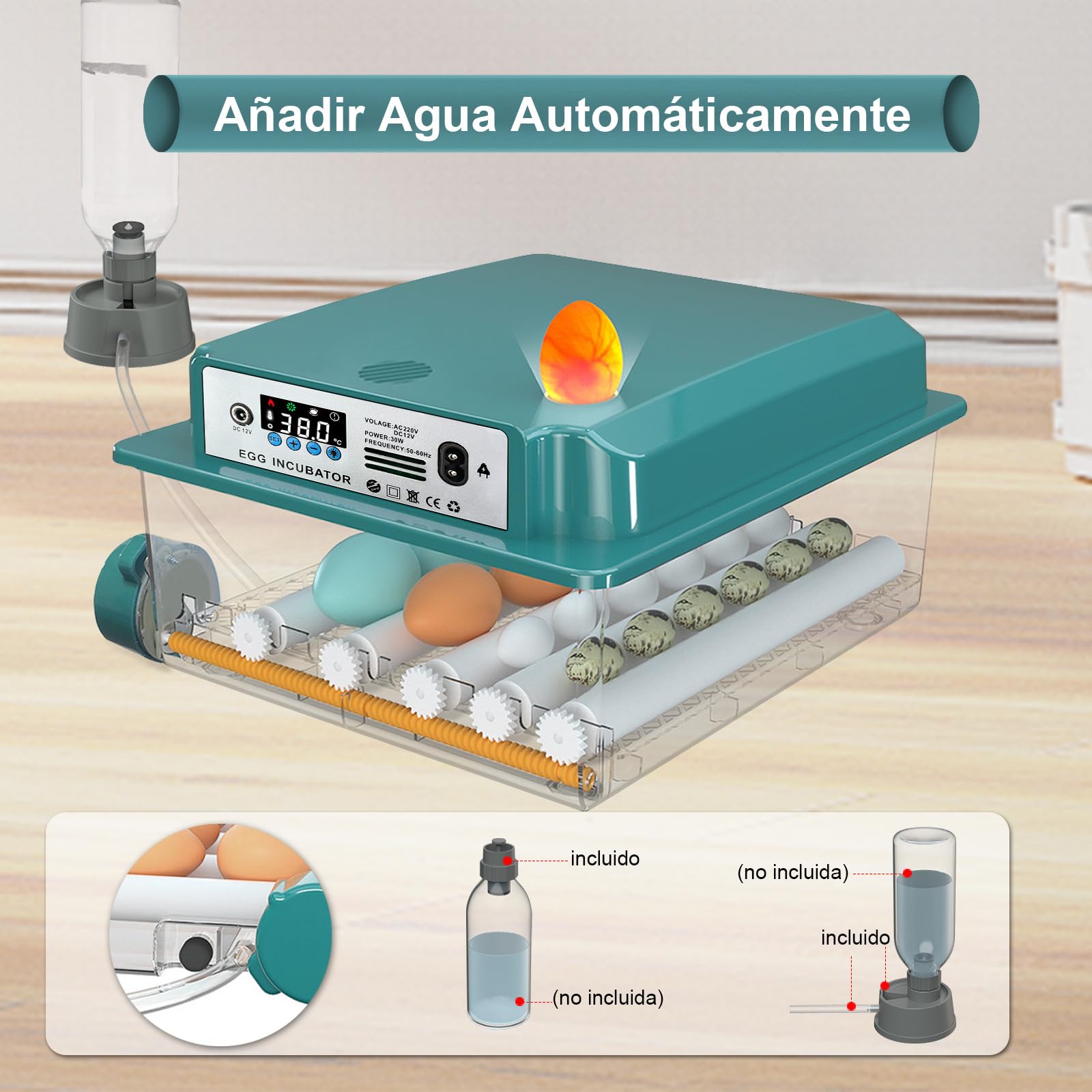 CoInceptus Incubadora Huevos Gallina, Incubadora de 12-16 Huevos con Volteo Automático de Huevos y Humidificación automática, Incubadora para Huevos de Gallina, Codorniz, Pato, con Lámpara de Huevo