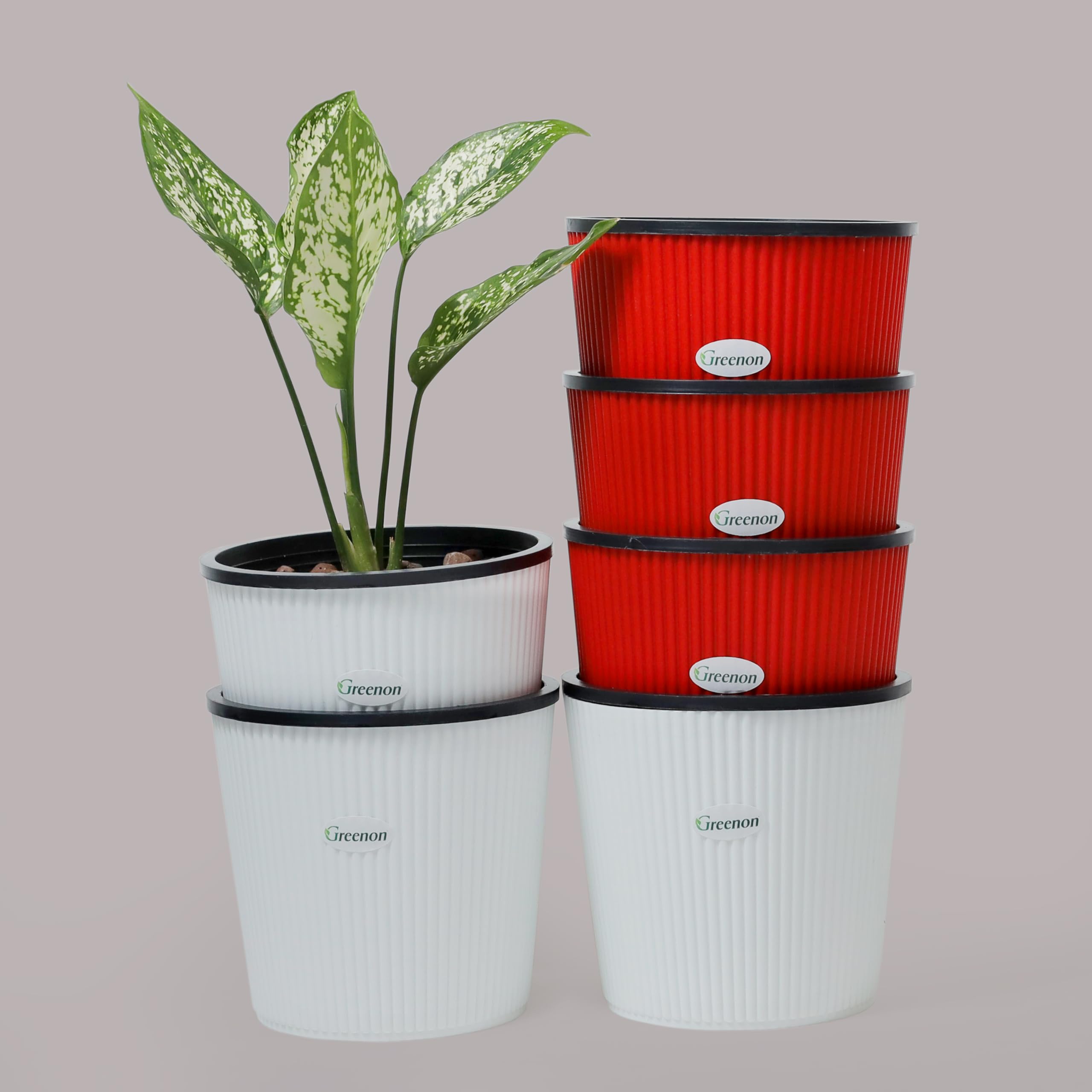See full amazon price history chart for GREENON® 5 Inch Small Plant Pot Pack of 6 (12 Pots) | Red Outer and Black Inner Flower Pot | Self Water | Unfading Planter | Virgin Plastic Gamla | UV Treated | for Countertop and Tabletop GREENON® 5 Inch Small Plant Pot Pack of 6 (12 Pots) | Red Outer and Black Inner Flower Pot | Self Water | Unfading Planter | Virgin Plastic Gamla | UV Treated | for Countertop and Tabletop (B0BQ7NK5TB) Amazon Price History, Amazon Price Tracker
