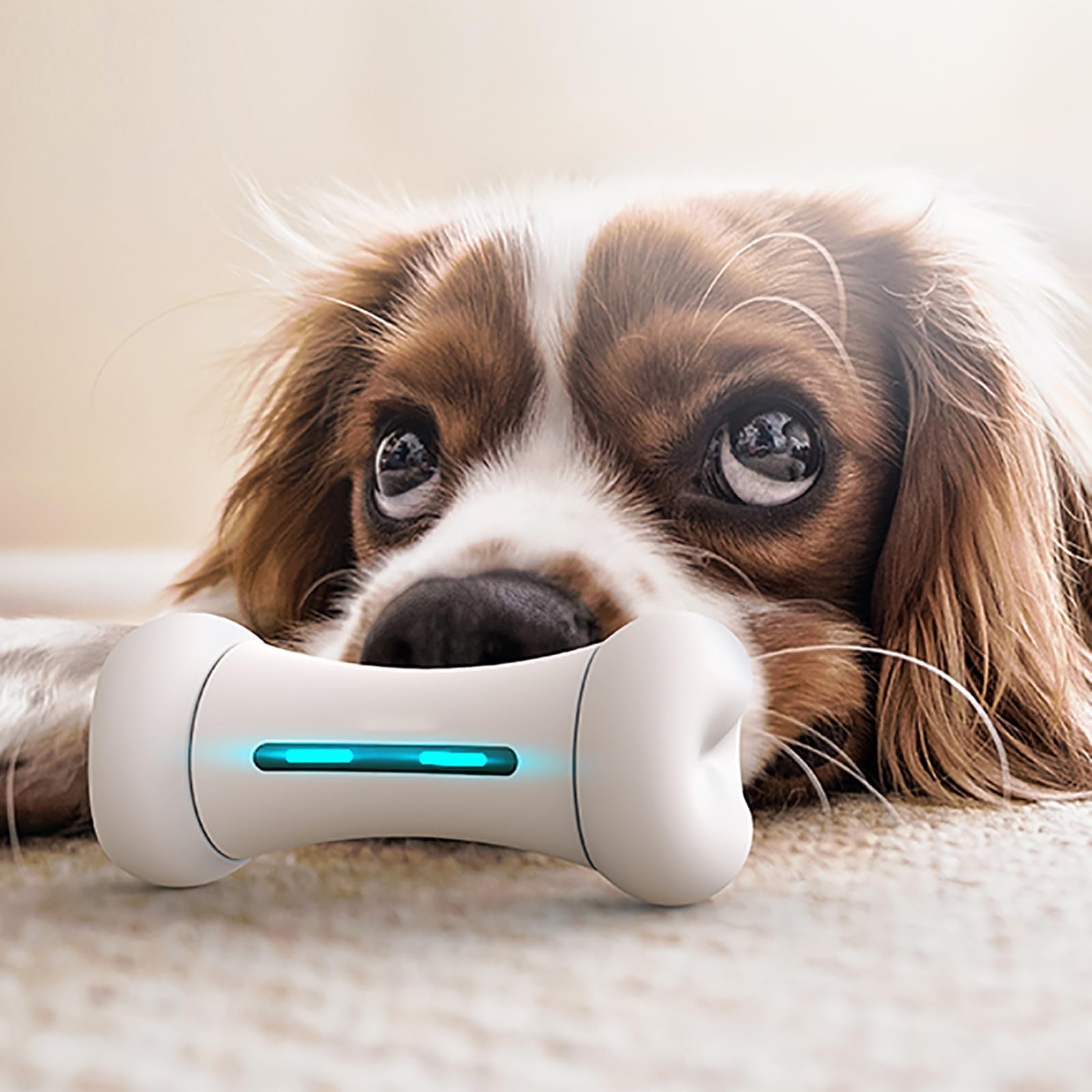 MObyat Smart Pet Toy, Cat and Dog Interactive Robot, 9 Preset Actions and 12 Emotional Expressions, Bluetooth APP Control, Relieve Pet Separation Anxiety