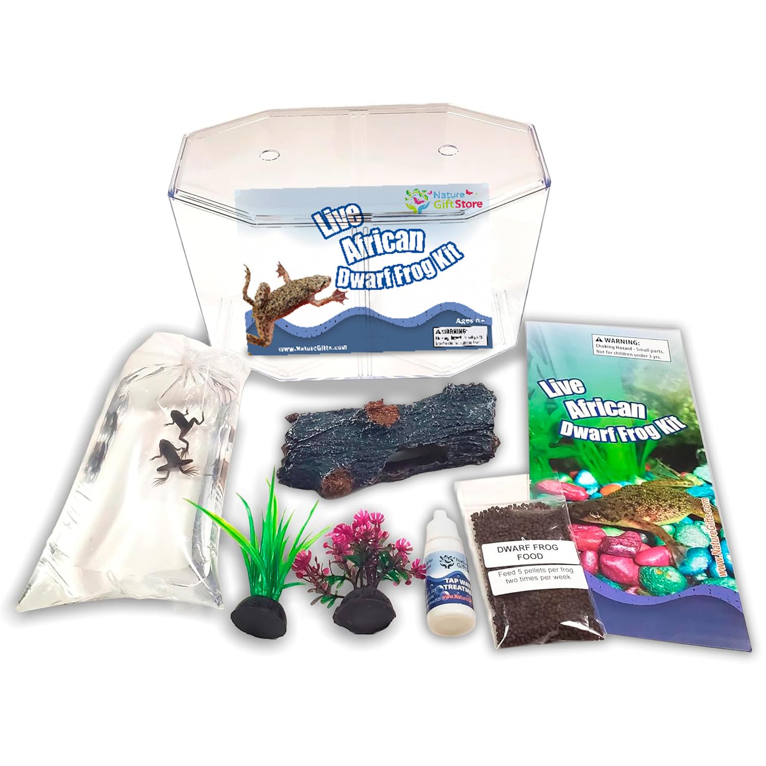 Nature Gift Store African Dwarf Frog Starter Kit- Includes Certificate for 2 Live Frogs -Small Aquarium, Food, Instructions