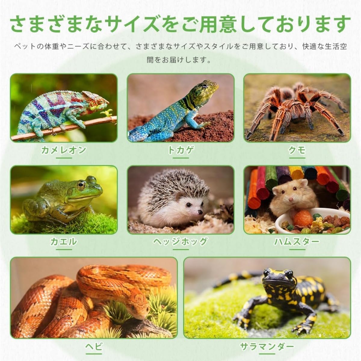 爬虫類 リクガメ 蛇 トカゲ 木製 ウッド 飼育 ケージ 90×45×45 Amazon | SAEYZ 隠れ家 シェルター 爬虫類 リクガメ 亀 カエル