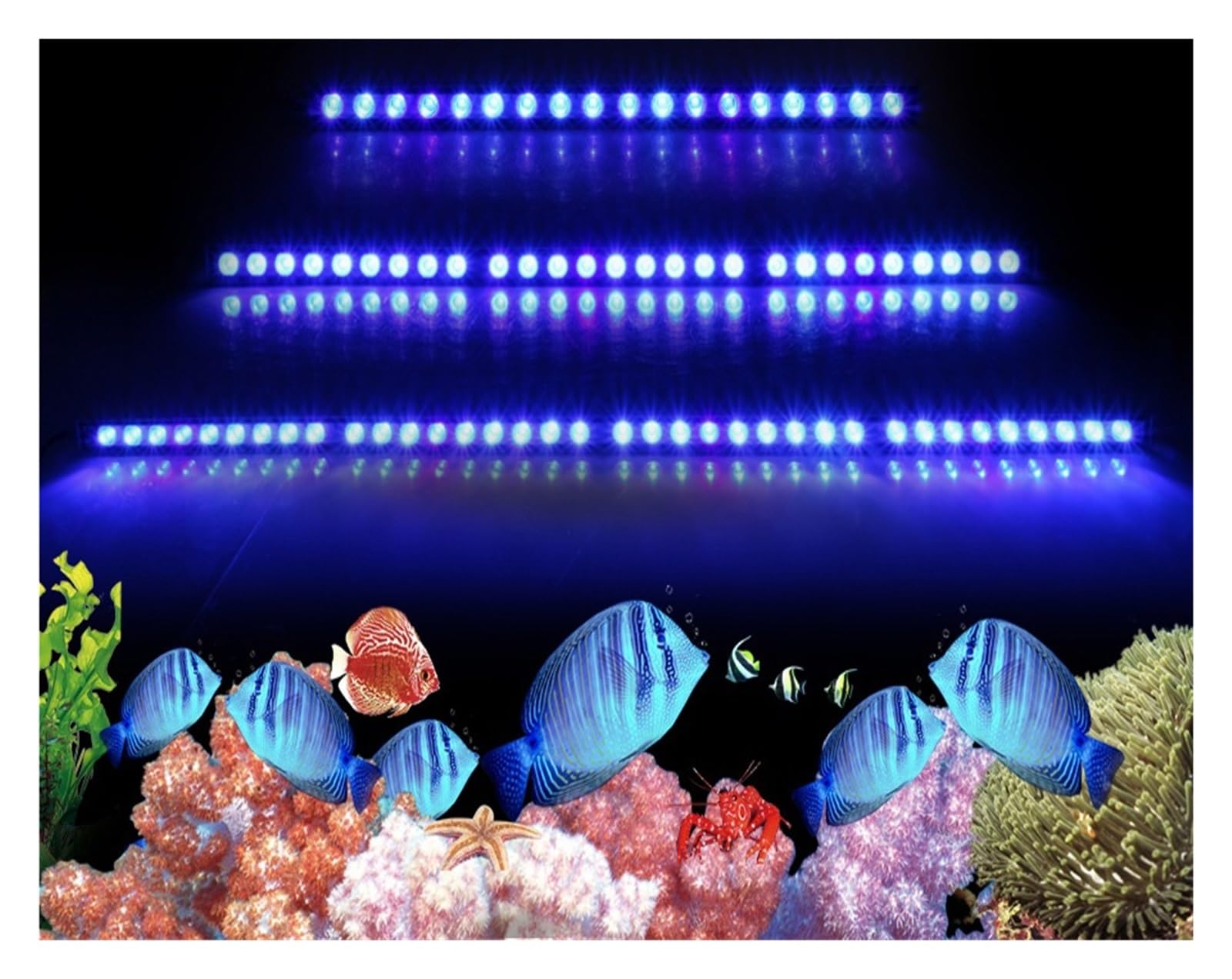 iluminación para acuarios Luz Led for acuario de 54W/81W/108W con solo 470nm, tira de luz de espectro azul, hermosa lámpara for pecera de arrecife de Coral para acuario plantado(54w_A)