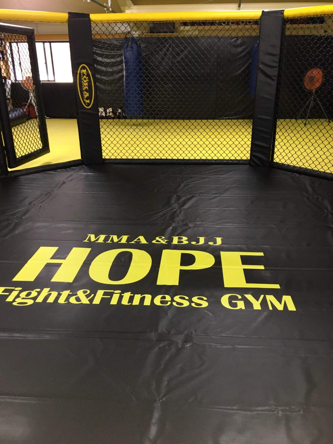 MMAケージ Amazon | 格闘技ケージ（6mx6m） | Dollamur | 筋力トレーニング