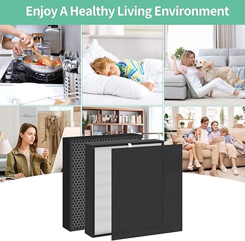 Miniatura 7 de GoKBNY Paquete de 2 filtros de repuesto Fit50 compatibles con FF50 para purificador BreatheSmart Fit50, 2 filtros 3 en 1 + 2 prefiltros