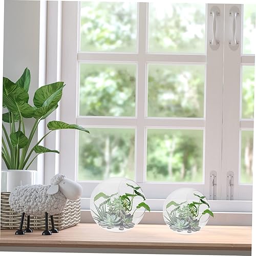 Miniatura 5 de 3 botellas de vidrio para plantas de aire, terrario, musgo, jarrón oblicuo, para exhibiciones decorativas y arreglos de suculentas