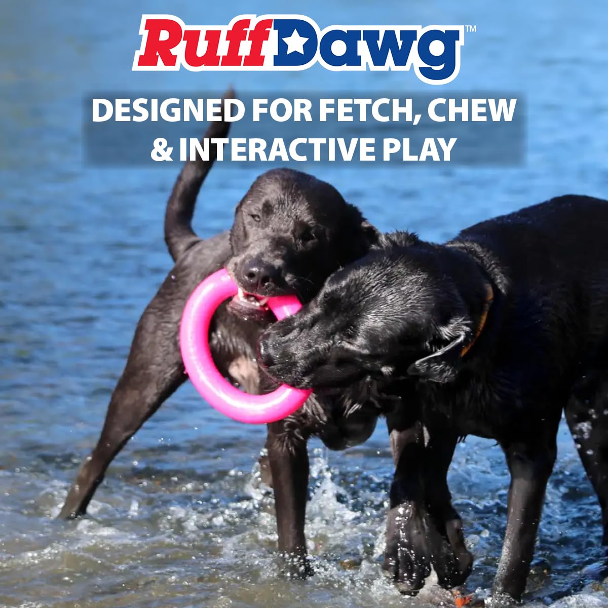 Ruff Dawg Dawg-Ring - Giocattolo indistruttibile per cani fino a 18,1 kg, misura media, 15,2 cm, colore: Rosa