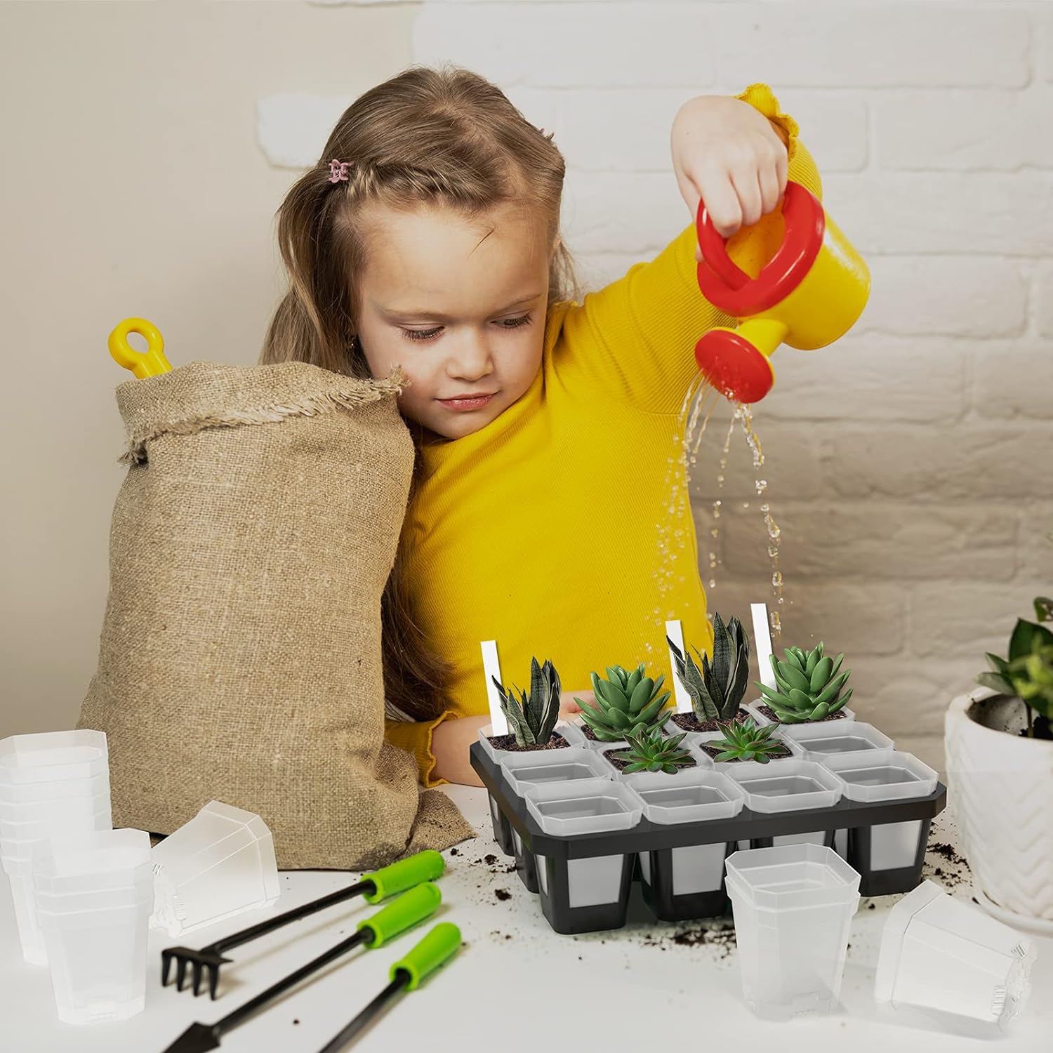 foxany 3" Clear Nursery Pots, 30 Pcs Thick Plastic Plant Pot, Square Flower Planting Pot, Seedling Planter Seed Starter Pots with Saucers - Image 5