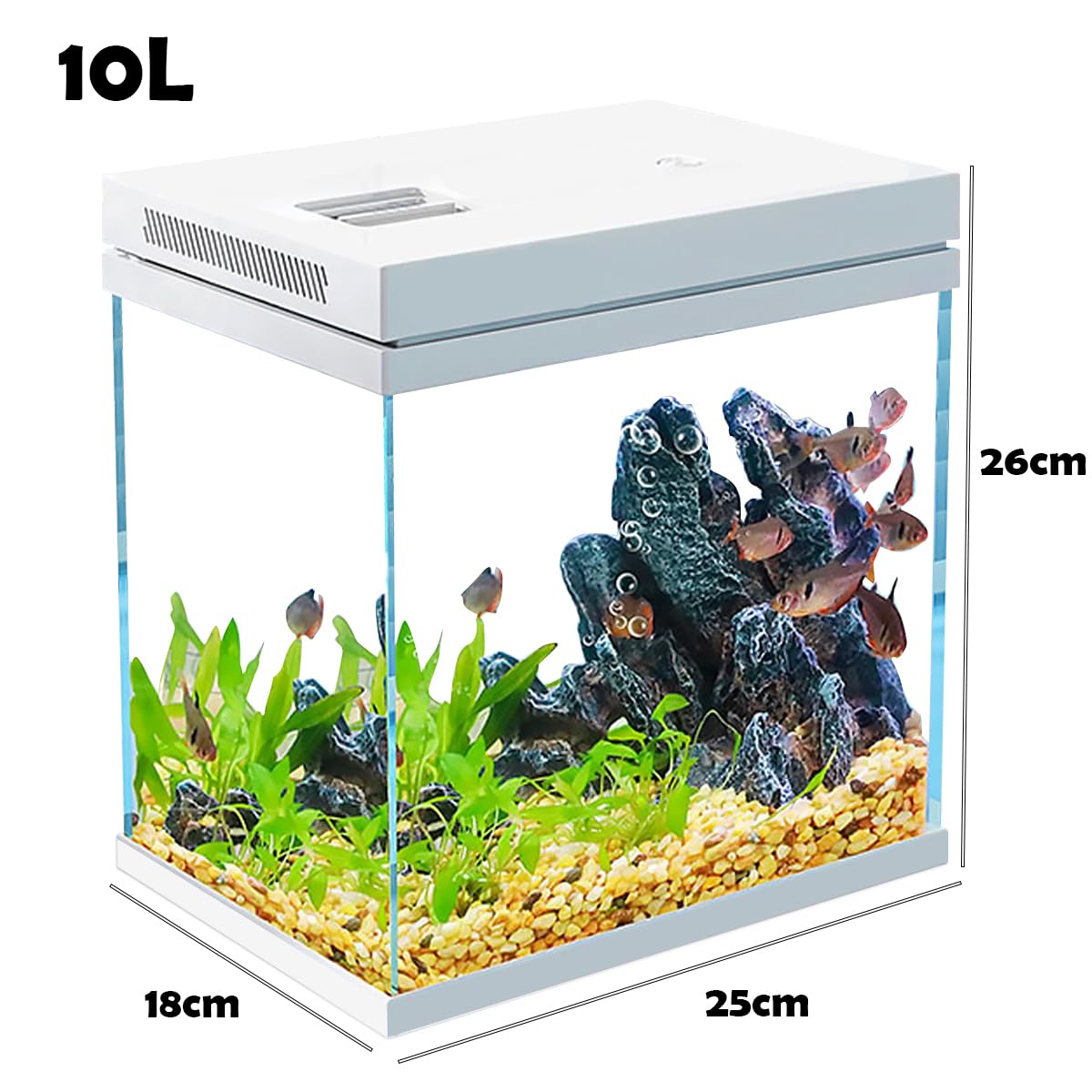 Acquario in vetro nano da 10 l per pesci - Con sistema di luce e filtro - Modello impermeabile e senza detersivo (10 l)