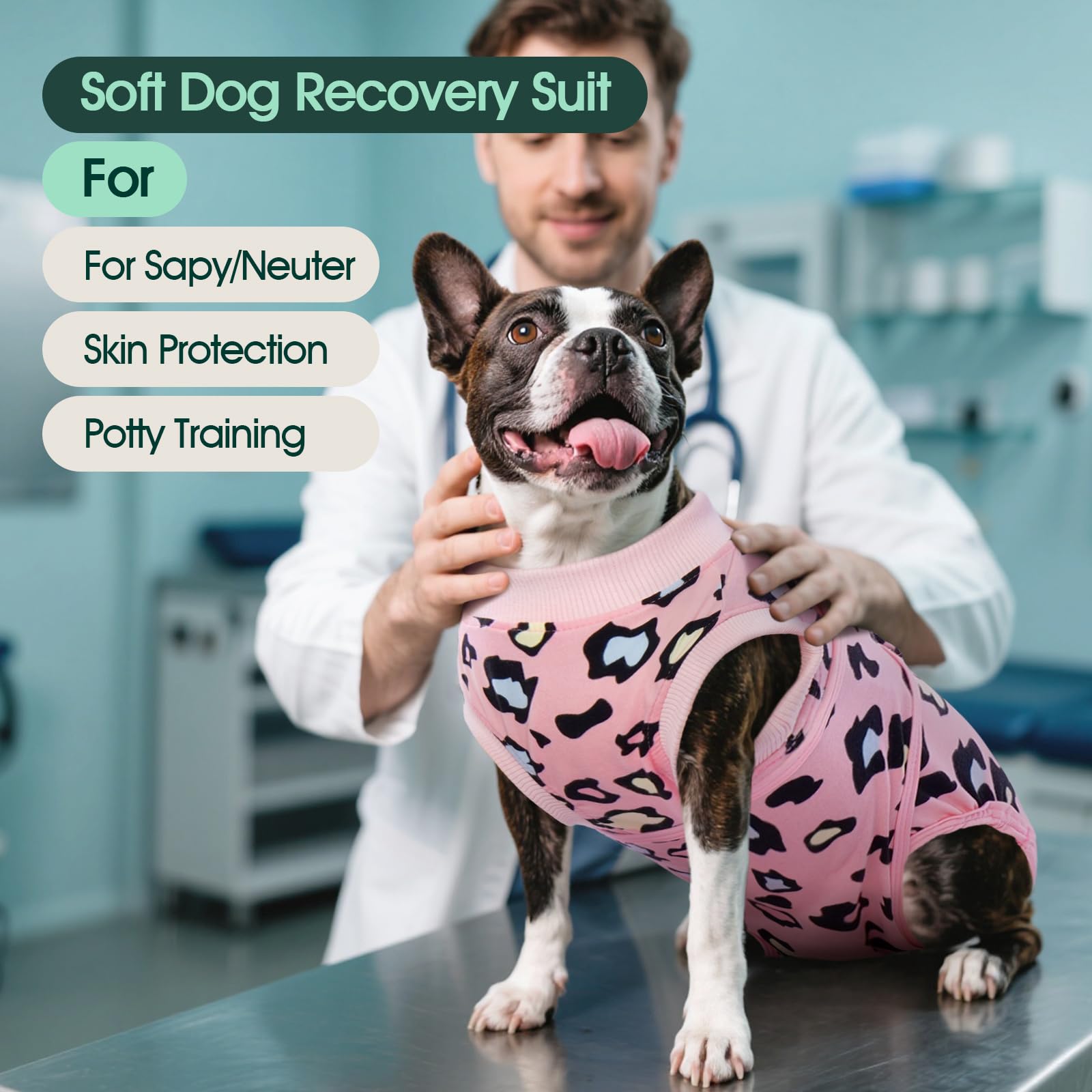 Tuta Post Operatoria Cane Femmina Alternativa Cono Per Cani Tuta Post