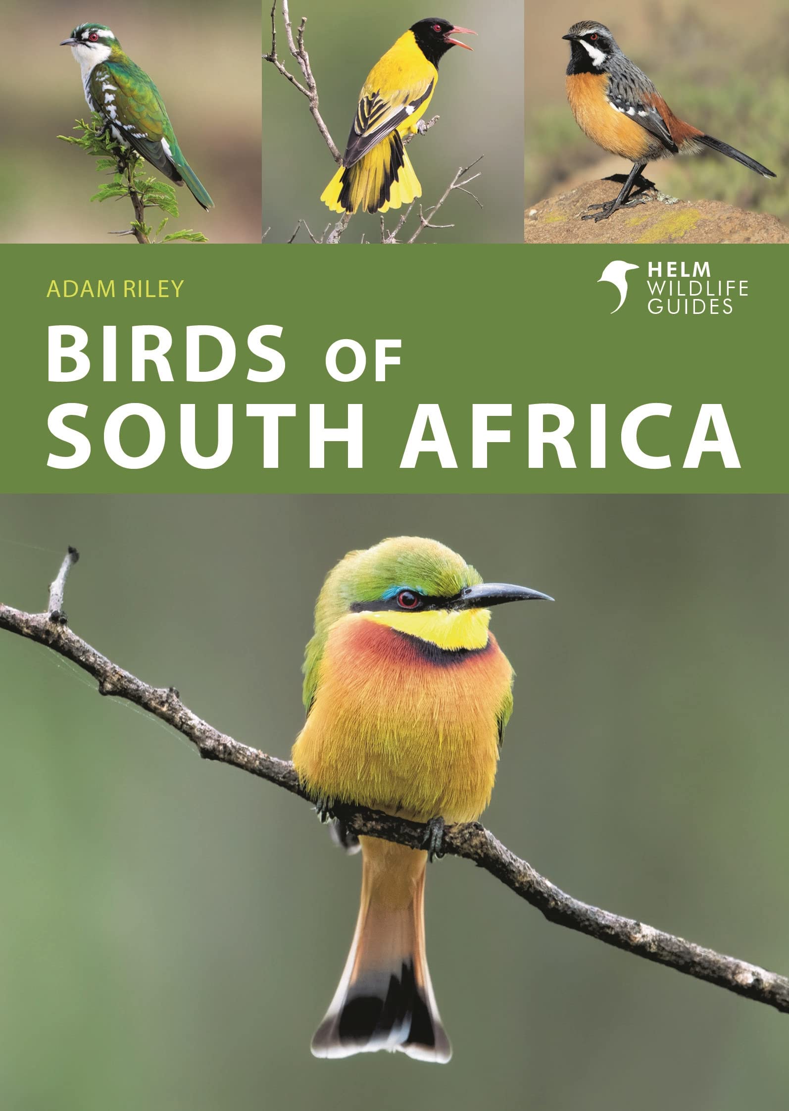 Birds of South Africa (Helm Wildlife Guides) Paperback – November 29, 2022
