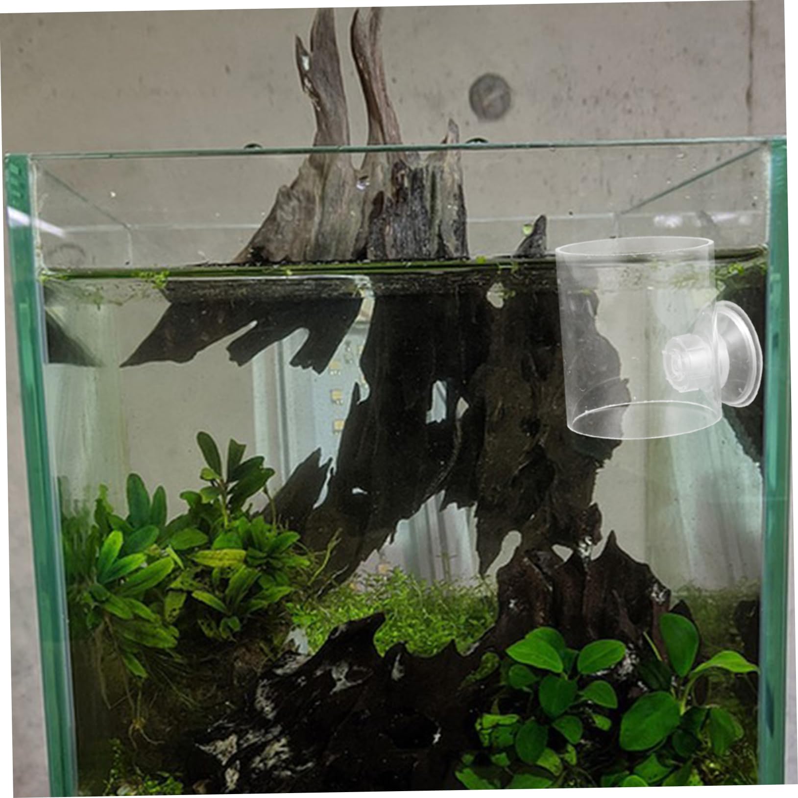 VICASKY Automatic Fish Feeder Acrylic Flakes Feeder Suction Cup Feeding Ring for Aquarium Betta Fish Feeding Tool