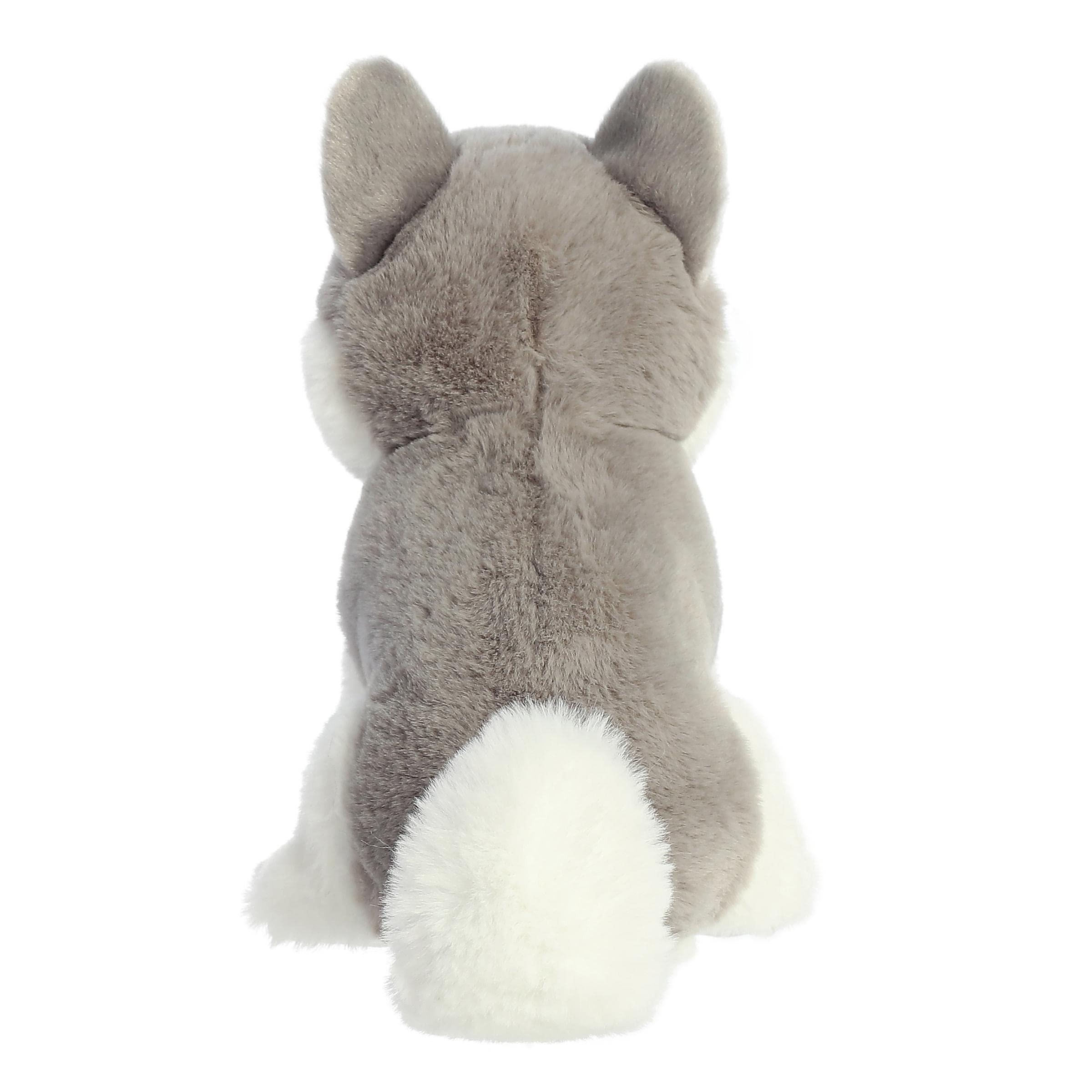 Aurora - Eco Nation - 8" Husky