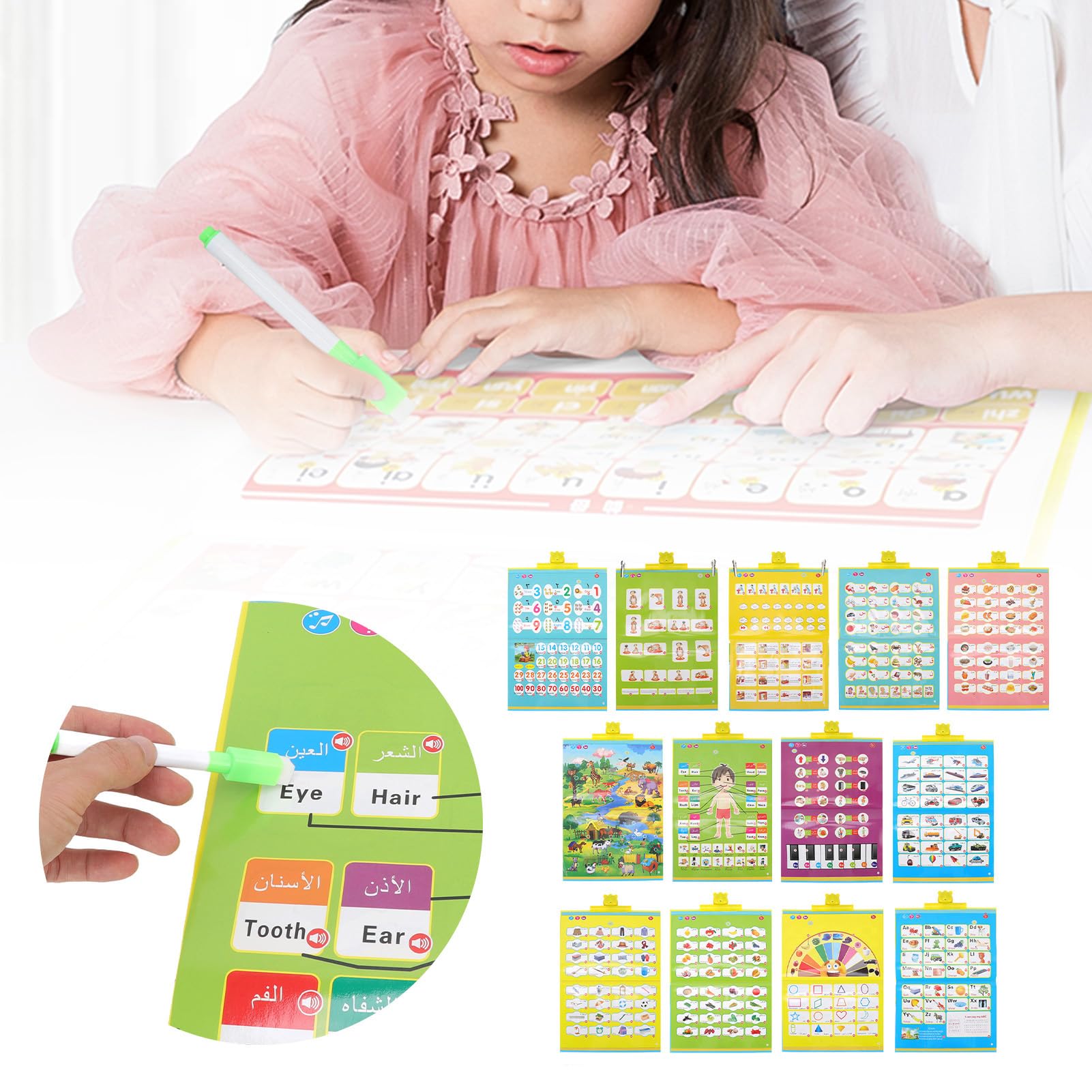 Libro Interattivo Arabo Inglese per Lettura per Bambini Giocattolo