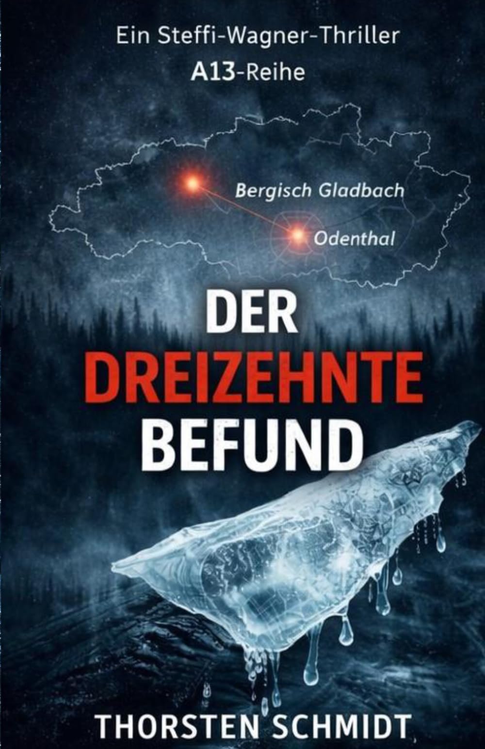 Der dreizehnte Befund: Ein Thriller aus der A-13 Reihe