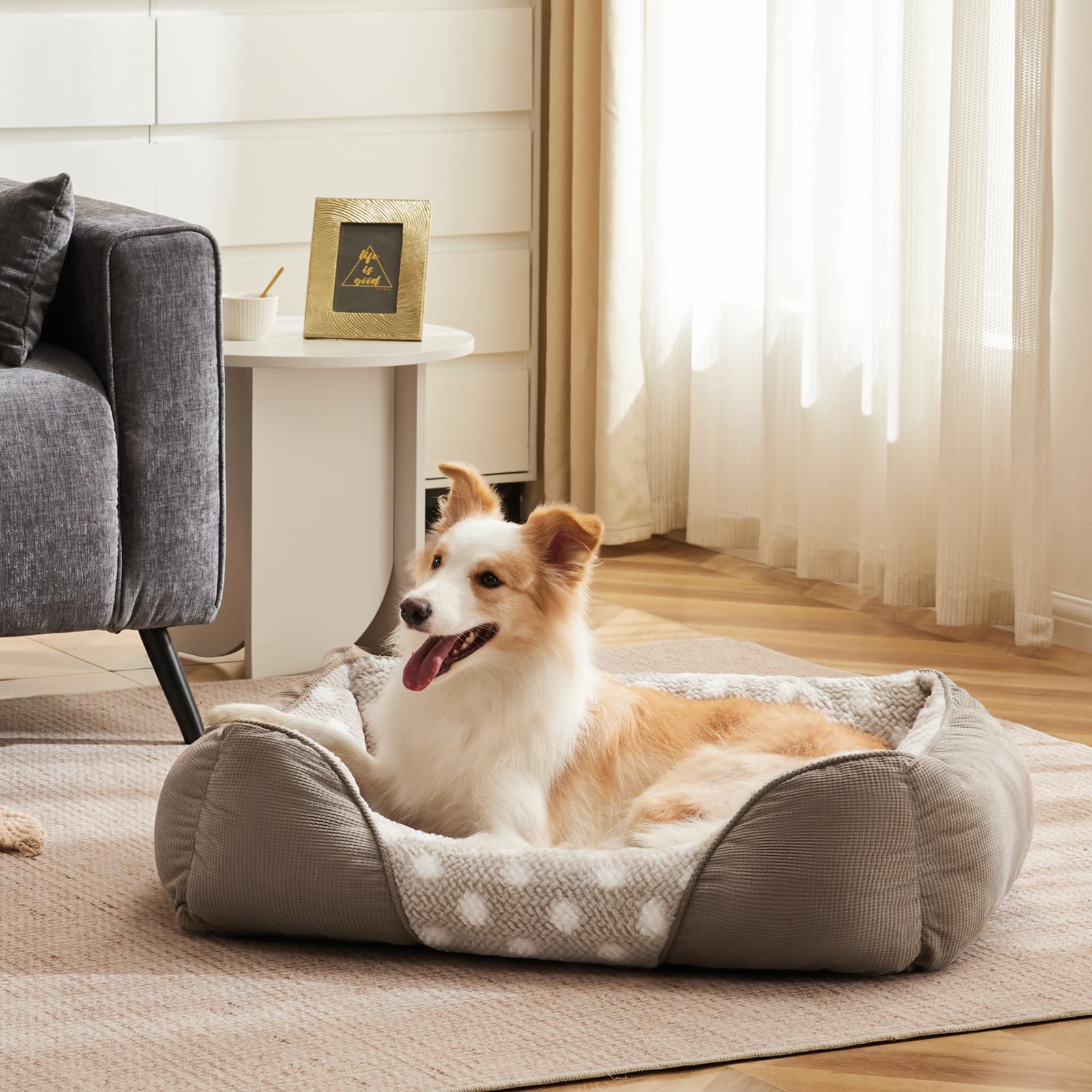 Heymamba Small Dog Bed and Low Leading Edge Puppy Bed - Image 4
