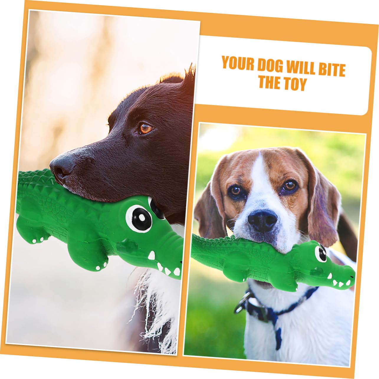 BESPORTBLE 8 Pièces Jouet pour Chien Qui Parle Animal en Peluche Balle de Dentition pour Chien Jouets Qui couinent pour Petits s Petit Jouet pour émulsion