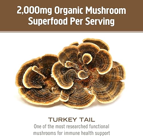 Miniatura 6 de Om Mushroom Superfood Suplemento superalimenticio de cápsulas de hongos de cola de pavo, 90 unidades, 30 días, apoyo inmunológico, polisacáridos,