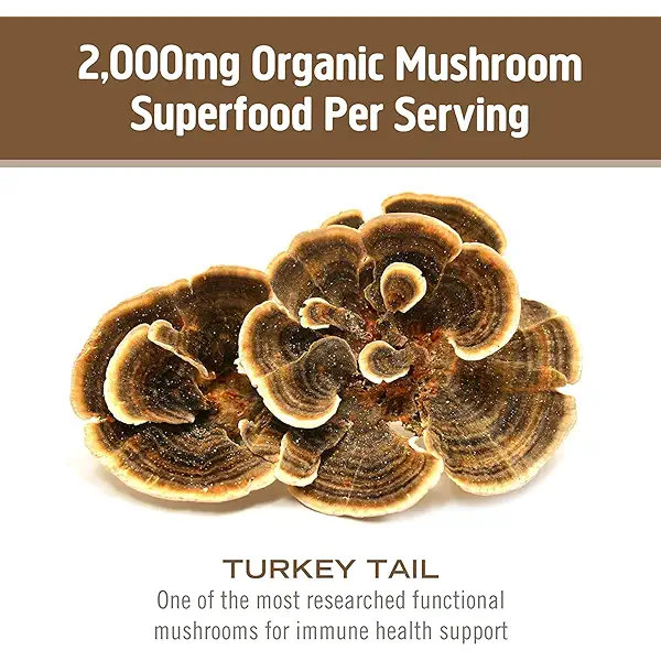 Om Mushroom Superfood Turkey Tail Mushroom Capsules Superfood Supplement, 90 Count, 30 Days, Immune Support, Polysacchrides, Beta-Glucans, Gut Health & Holistic Defense Mushroom Supplement 6