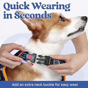 rabbitgoo 犬用ハーネス スモールサイズ、3つのバックルで着脱簡単 引っ張らないペットベスト、コントロールハンドル付きソフトパッド付きウォーキングペットハーネス、調節可能で反射、ロイヤルブルー&オレンジ、S
